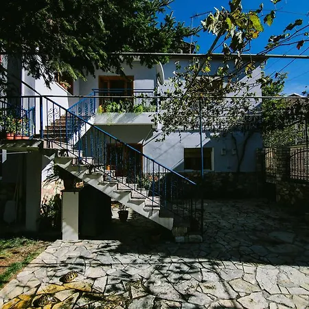 Bujtina Leon's