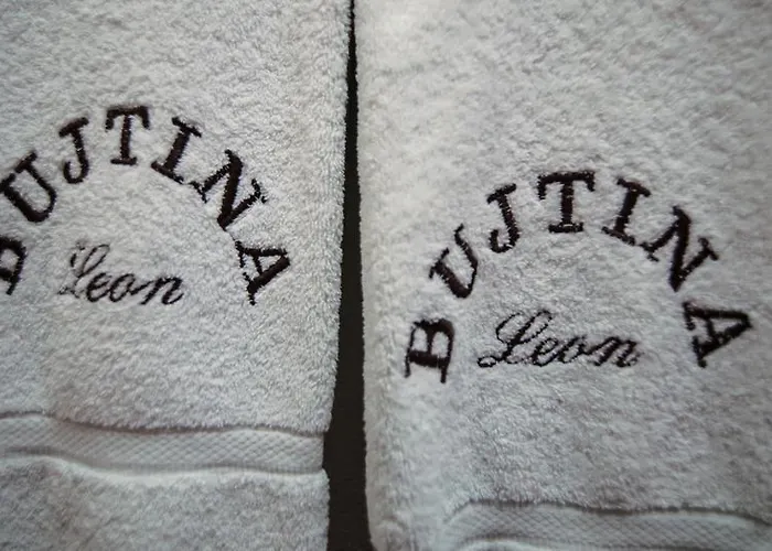 Bujtina Leon's